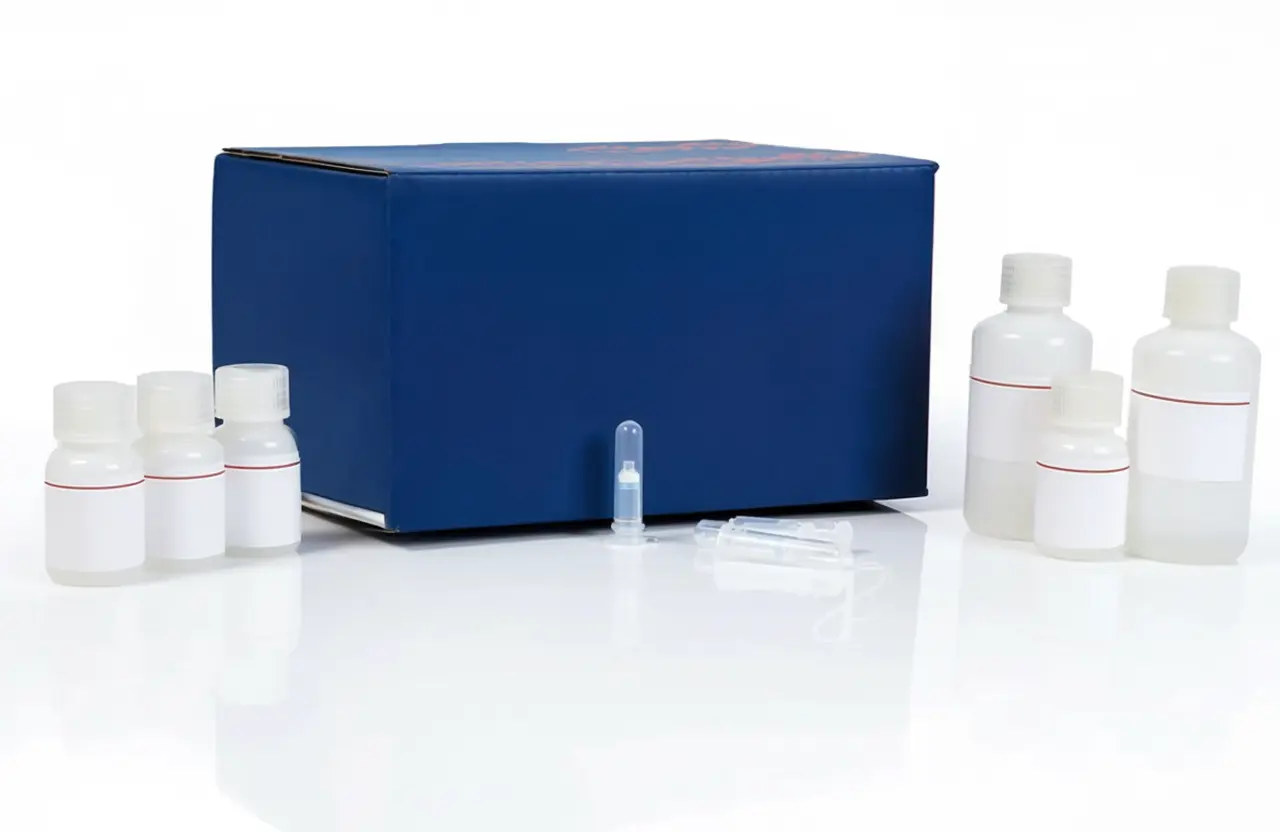 Plasmid and viral DNA prep kits