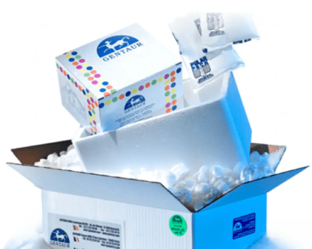 *Rabbit IgG ELISA Kit